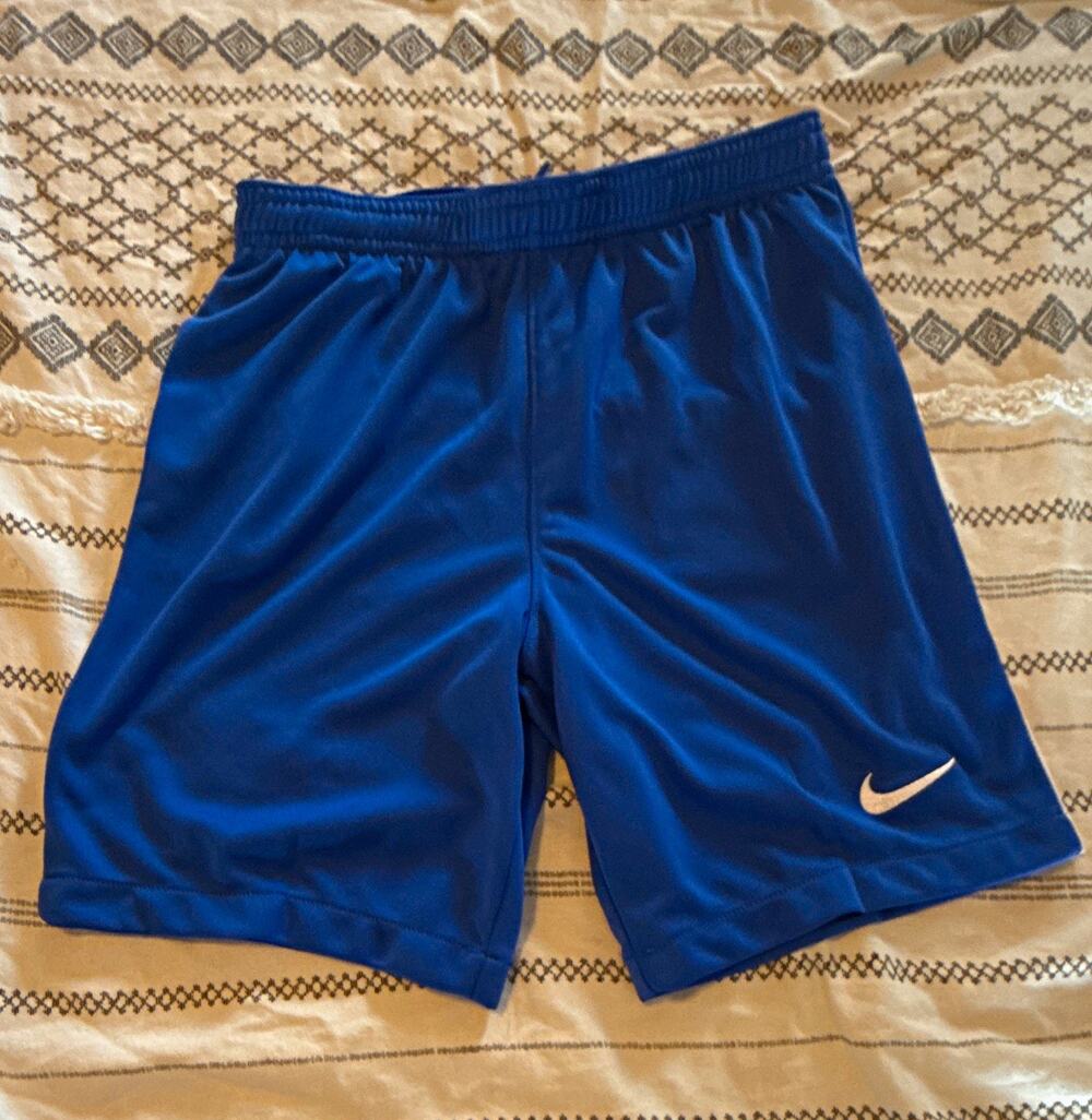 Nike Dri-FIT Men’s Athletic Shorts M Blue Polyester Knit Drawstring Elastic